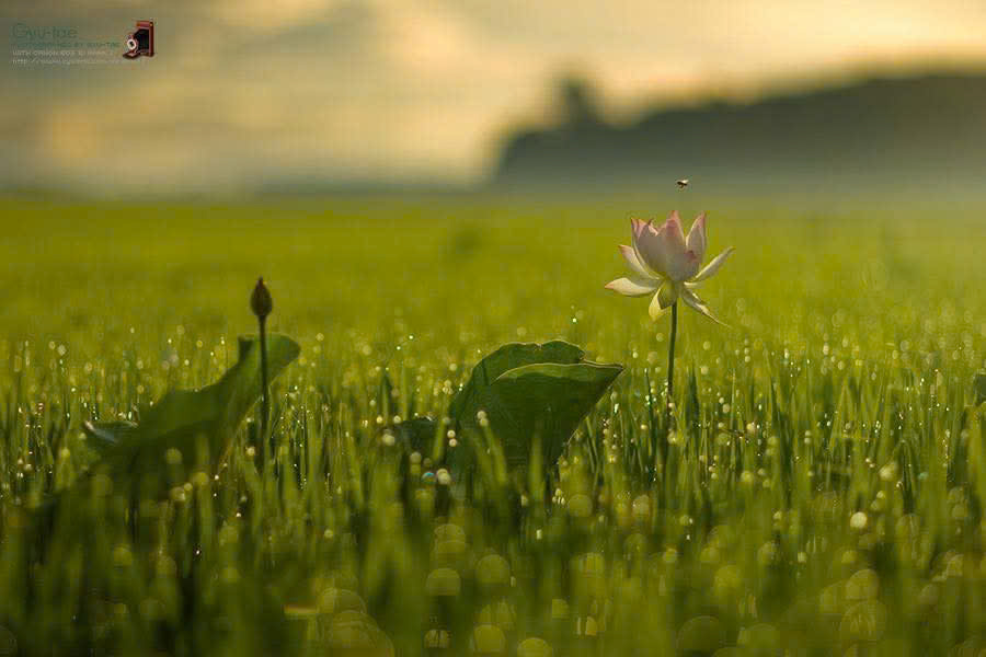 z7428864744528_035599a4f2eb44b497932778e61f24f9